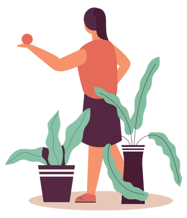 Girl plucking fruit  Illustration