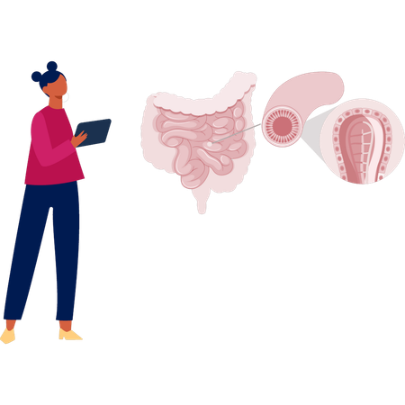 Girl  research on colon disease  Illustration