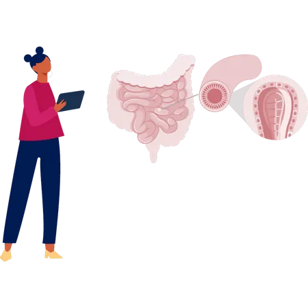 Girl  research on colon disease  Illustration