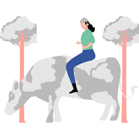 Girl riding cattle  Illustration