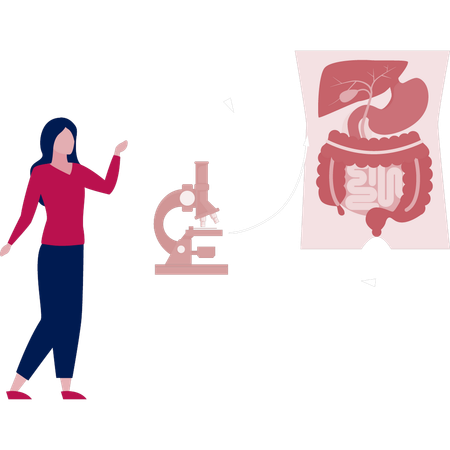 Girl  searching colon on microscope machine  Illustration