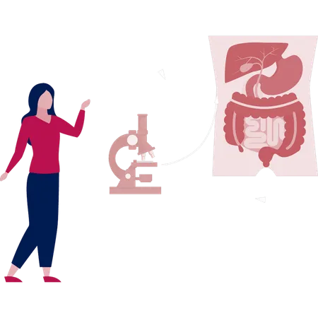Girl  searching colon on microscope machine  Illustration