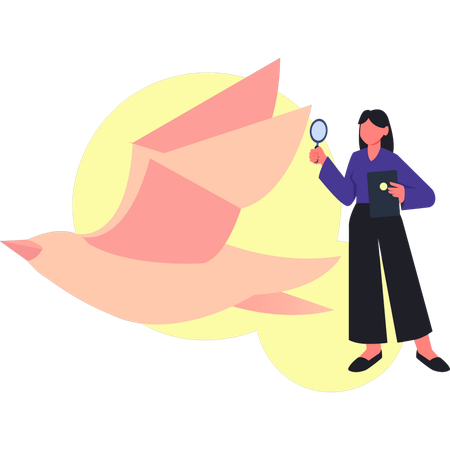 Girl searching origami bird  Illustration