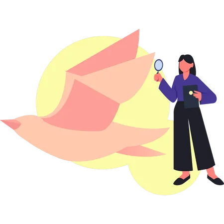 Girl searching origami bird  Illustration