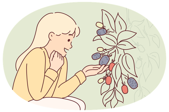 Girl sits near bush with fresh raspberries or blackberries tasting fruits of fruit plant  Illustration