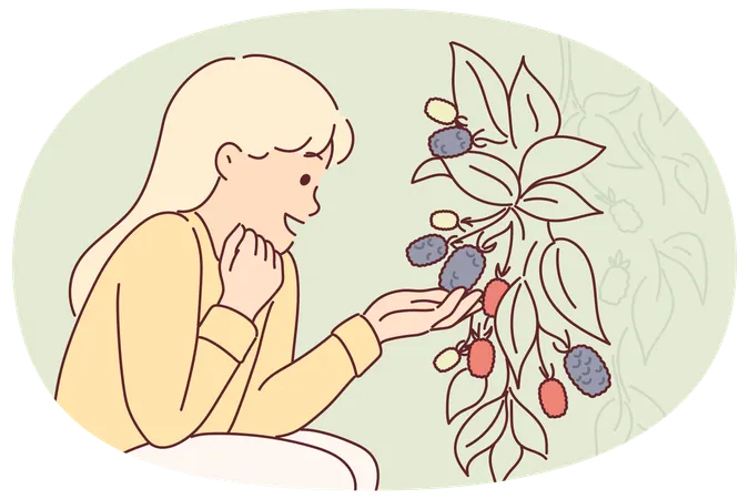 Girl sits near bush with fresh raspberries or blackberries tasting fruits of fruit plant  Illustration