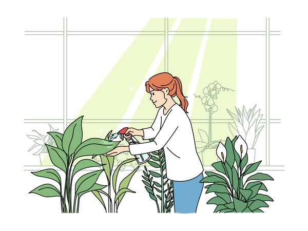 Girl spraying water on plants  Illustration