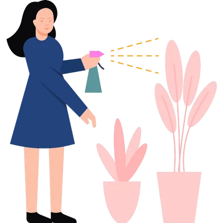 Girl spraying watering the plants  Illustration