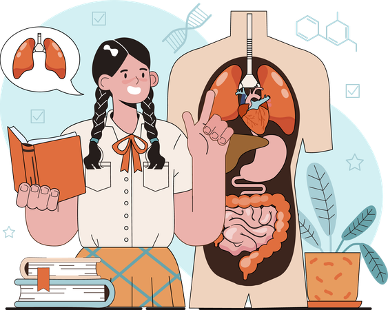 Girl studying on lungs  Illustration