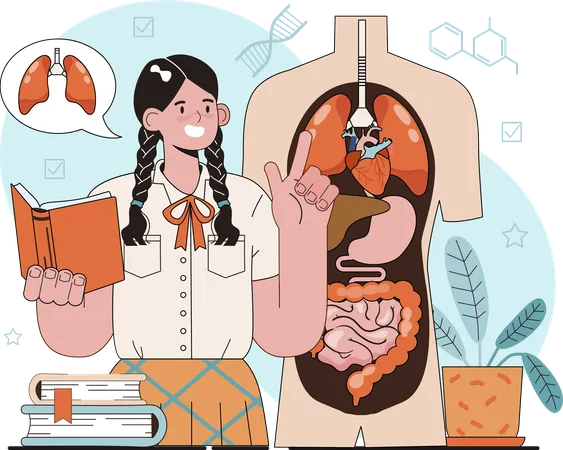 Girl studying on lungs  Illustration