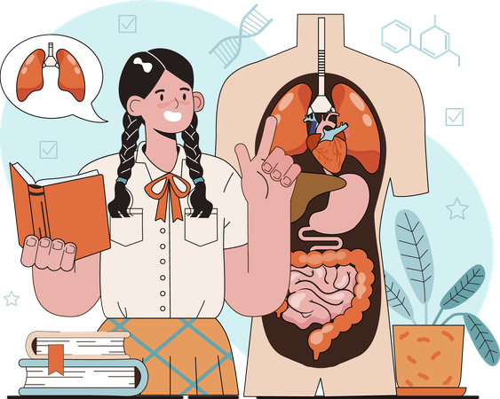 Girl studying on lungs  Ilustração