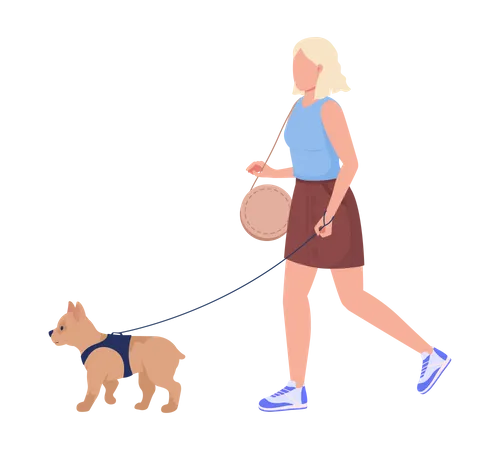 Lady Walk Small Breed Dog Semi Flat Color Vector Characters Editable Figures Full Body Person On White Dog Owner Simple Cartoon Style Illustration For Web Graphic Design And Animation Illustration