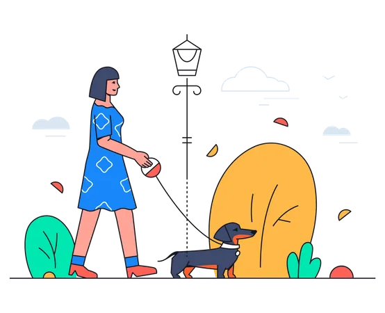 Girl Walking A Dog Modern Flat Design Style Illustration With Line Elements A Colorful Composition With A Smiling Young Woman In The Park With Her Cute Dachshund Pet Images Of A Lantern And Bush Illustration