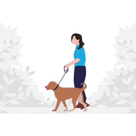 Girl walking with dog  Illustration