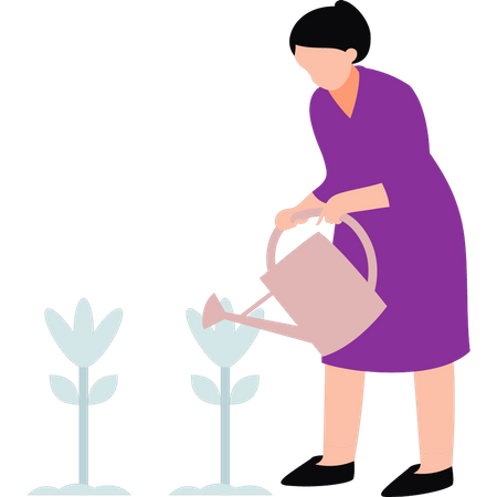 Girl watering plant  Illustration