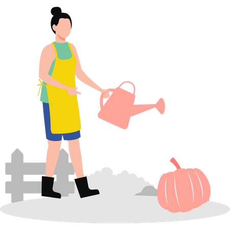 Girl watering pumpkin  Illustration
