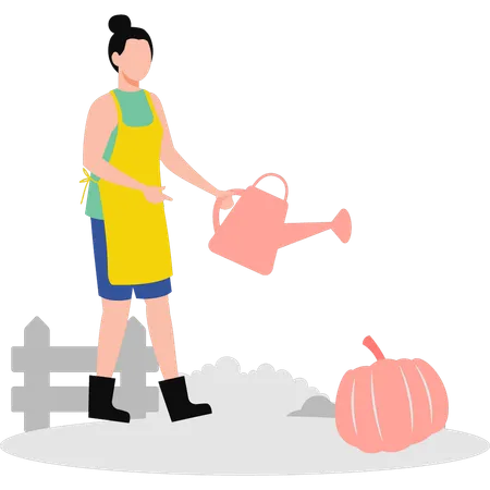 The Girl Is Watering The Pumpkin Illustration