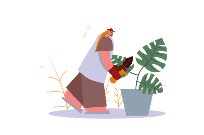 Girl watering the plant  Illustration