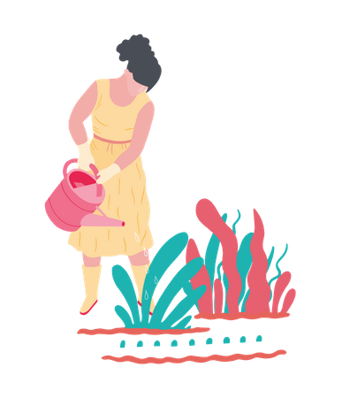 Girl watering to plant  Illustration