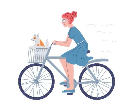 Girl with cat sitting in basket ride bike  Illustration