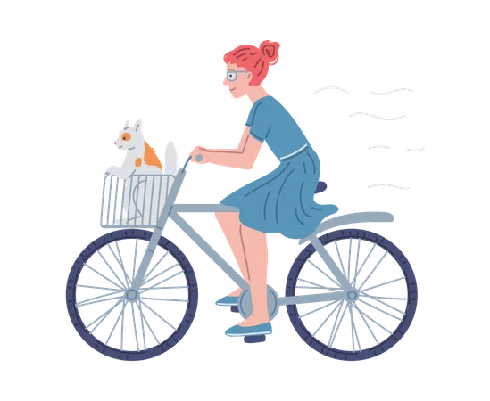 Girl with cat sitting in basket ride bike  Illustration