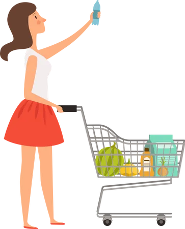 Girl with shopping trolley in makret  Illustration