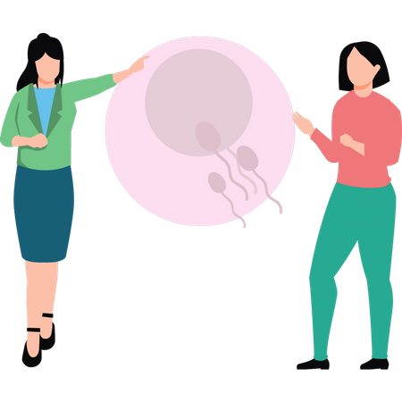 Girls talking about sperm fertilization  Illustration