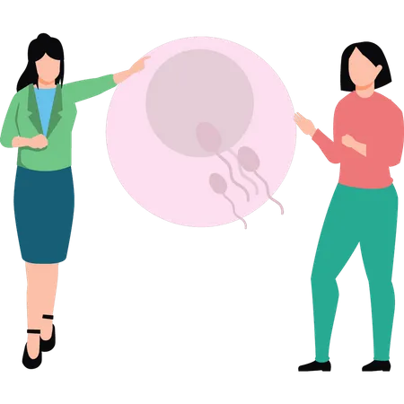 Girls talking about sperm fertilization  Illustration