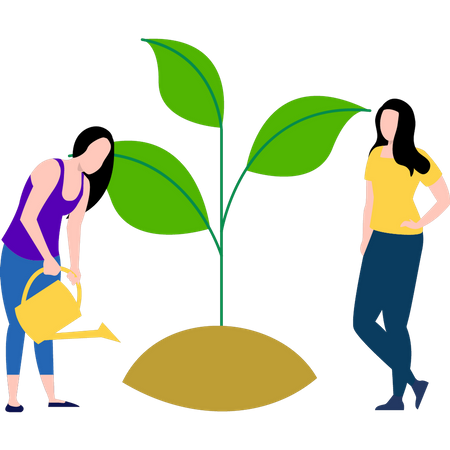 Girls watering the plant Illustration