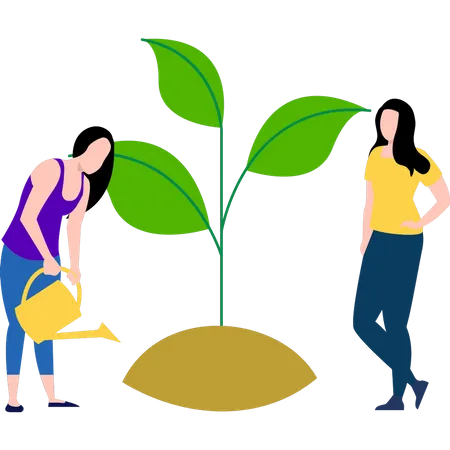 The Girls Are Watering The Plant Illustration