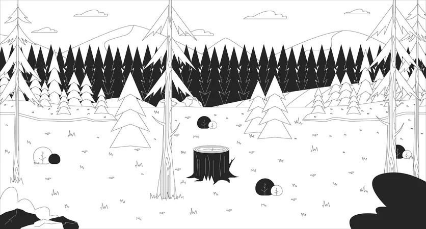 Glade Forest Pines Black And White Line Illustration Stump Of Tree Woodland Spruces 2 D Scenery Monochrome Background Summer Landscaping Spring Season Grass Woods Outline Scene Vector Image Illustration