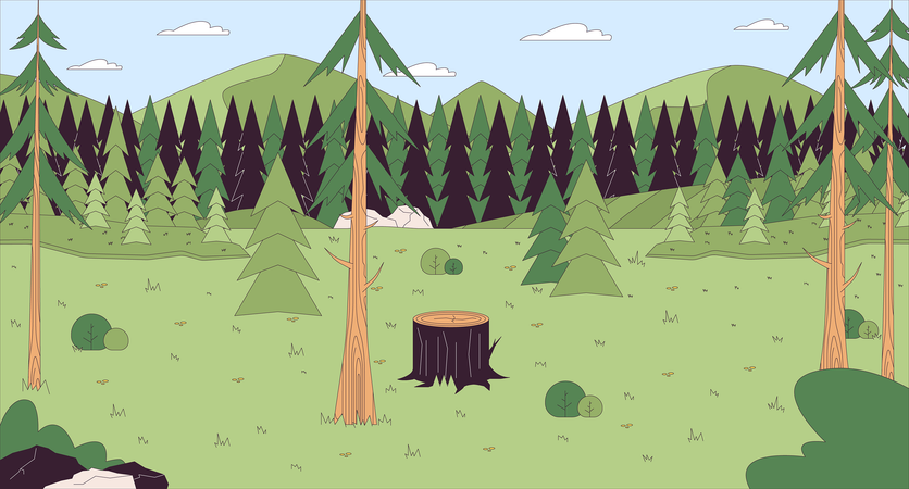 Glade forest pines  Illustration