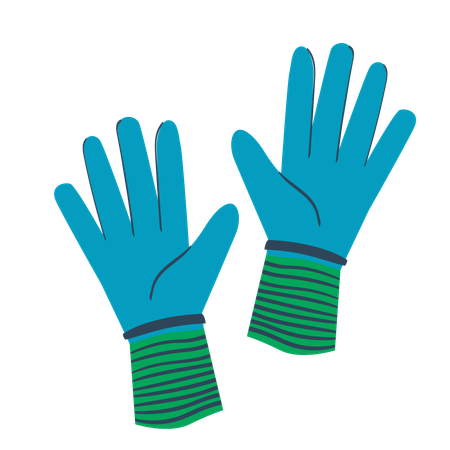 Gloves  Illustration