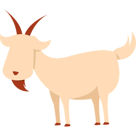 Eid Adha Goat Animal Illustration