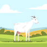 goat at grassfield illustration