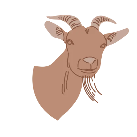 Goat  Illustration