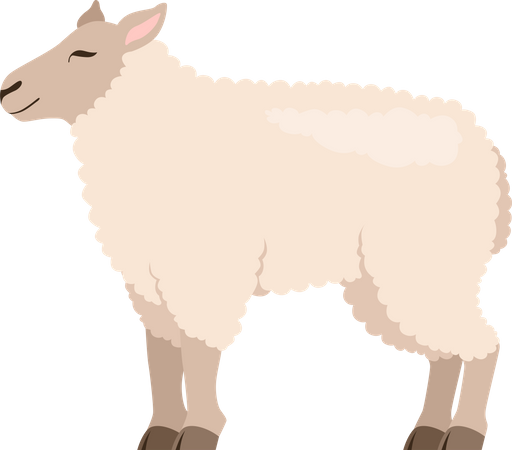 Goat  Illustration