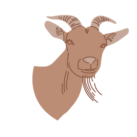 Goat  Illustration