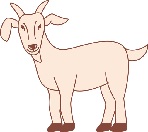 Goat  Illustration