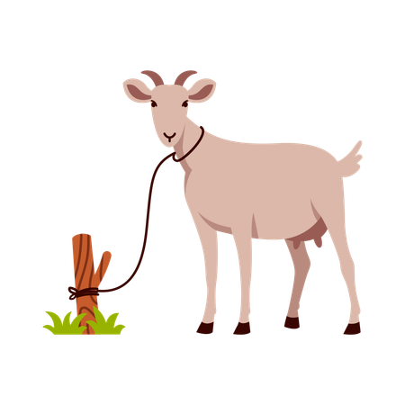 Goat Tied to a Post  Illustration