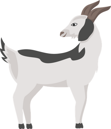 Goat with grey spots  Illustration