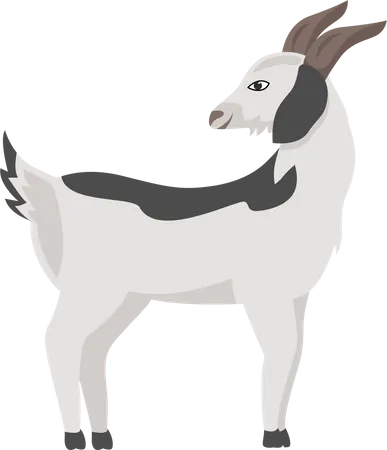 Goat with grey spots  Illustration