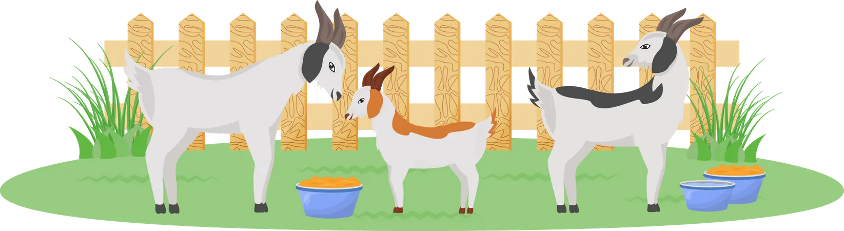 Goats in garden Illustration