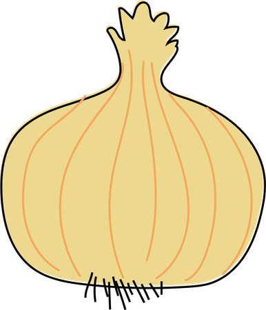 Golden Onion Illustration  Ilustración