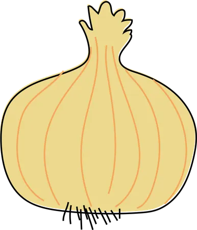 This Detailed Illustration Captures The Layered Structure And Golden Hue Of A Ripe Onion Suitable For Use In Educational Content About Cooking Flavor Profiles Or The Health Benefits Of Onions Illustration