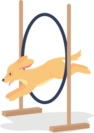 Golden spaniel jumping through hoop Illustration