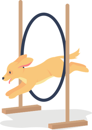 Golden spaniel jumping through hoop  Illustration