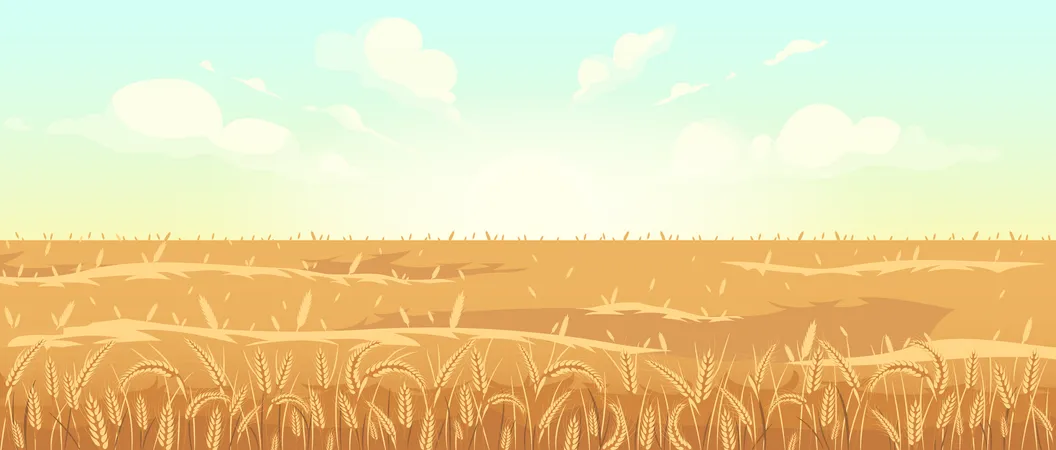 Golden wheat field Illustration