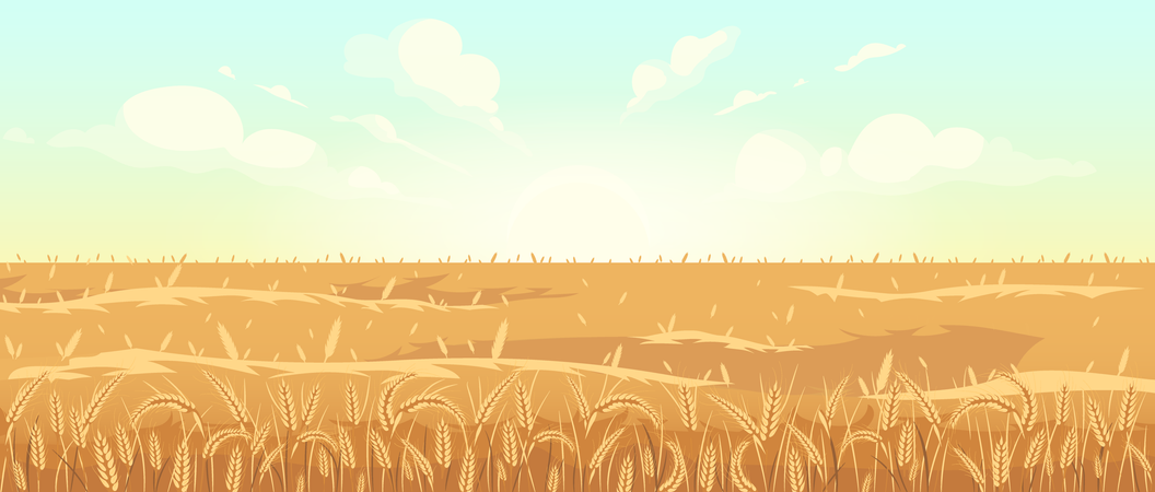 Golden wheat field  Illustration