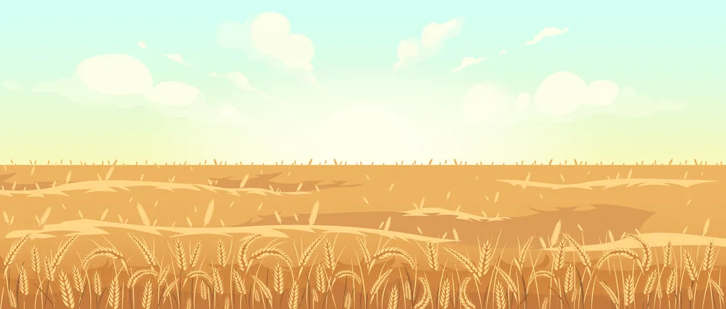 Golden wheat field  Illustration